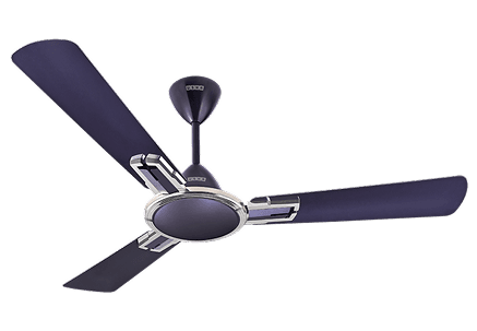 Ceiling Fans